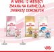 Royal Canin ROYAL CANIN Kitten Instinctive w galaretce 12x85g karma mokra w galaretce dla kociąt do 12 miesiąca życia + Royal Canin Piłeczka dla kota GRATIS 10