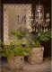 Aluro Lustro salonowe TEVOR antique style_Aluro 6