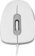 Mysz Modecom M10S Silent (M-MC-M10S-200) 4