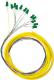 Qoltec Pigtail 12xSC/APC, SM, 9/125, 0,9mm, G652D, 2m (54357) 1