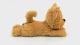 Tm Toys Snuggiez Kotek Ginger (DKH 8225) 5