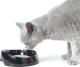 Savic MISKA WHISKER WATER 19x15x5cm 1