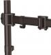 StarTech Uchwyt biurkowy na monitor 13" - 34" (ARMPIVOTB) 2