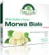 Olimp OLIMP Morwa Biała Premium 30caps 1
