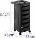 Physa Wózek pomocnik fryzjerski z uchwytem na suszarkę 5 szuflad półka 485 x 380 mm Wózek pomocnik fryzjerski z uchwytem na suszarkę 5 szuflad półka 485 x 380 mm 6