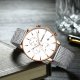 Zegarek ZEGAREK MĘSKI CURREN 8339 (zc015b) - CHRONOGRAF 1