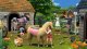 EA Electronic Arts C2C THE SIMS 4 (EP11) COTTAGE L 3