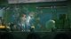 EA Electronic Arts C2C UNRAVEL 2 (RU & ROA) 9