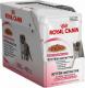 Royal Canin PAKIET żel 12x85g KITTEN 1