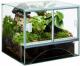 Diversa TERRARIUM 80x40x50 4mm 1