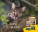 Josera Nature Cat 10kg 4