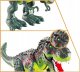 AIG Mega Wielki Dinozaur T-Rex Chodzi Ryczy Świeci 9
