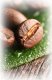 Kawa ziarnista illy Arabica Selection India 250 g 3