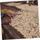 Kawa mielona Dallmayr Kawa mielona DALLMAYR Ethiopian Crown 250 g 4