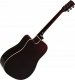 Ever Play Gitara elektroakustyc AP-400 CEQ WRDS+po 1