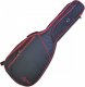 Ever Play Gitara elektroakustyc AP-400 CEQ WRDS+po 3