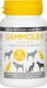 TYMOFARM GAMMOLEN 60 tabl.* - 13553 1