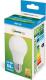 Spectrum LED GLS E-27, 230V, CW (WOJ13901_270ST) 1