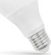 Spectrum LED GLS E27, 230V, 7W, CW (WOJ13899) 1