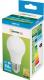 Spectrum LED GLS E27, 230V, 7W, CW (WOJ13899) 1