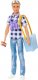 Lalka Barbie Mattel Barbie zestaw Kemping Lalka Ken + akcesoria (HHR66) 2