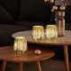 AmeliaHome AmeliaHome LAmion dekoracja LED CORDOBA 12X13 butelkowa zieleń 4