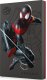 Dysk zewnętrzny HDD Seagate FireCuda Gaming Miles Morales Special Edition 2TB Czarny (STKL2000419) 5