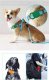 Tech-Protect TECH-PROTECT SMOOTH FOR PET APPLE AIRTAG BLACK 3