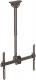StarTech Uchwyt sufitowy FPCEILPTBSP 32'' - 75'' 1