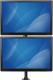 StarTech Uchwyt biurkowy na 2 monitory 13" - 27" (ARMDUALV) 4