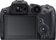 Aparat Canon EOS R7 + RF-S 18-150 mm f/3.5-6.3 IS STM + adapter EF-EOS R (5137C019AA) 4