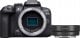 Aparat Canon EOS R10 + adapter EF-EOS R (5331C037AA) 1