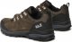 Buty trekkingowe męskie Jack Wolfskin Refugio Texapore Low khaki r. 48 3