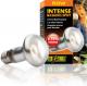 Hagen EXOTERRA ŻARÓWKA INTENSE SPOT 50W 1