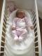 Red Castle Ergonomiczny materac dla niemowląt Cocoonababy 4