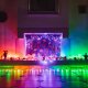Twinkly Twinkly strings 250L 5mm RGBW transparent 4