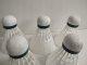 Talbot Torro TT LOT. TECH 450 white slow 6szt. 4