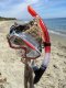 Schildkrot SFS Adult Snorkel Set FIJI- two-part 1
