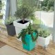 Prosperplast Donica doniczka LOFLY LOW DLOFL240 Szary 2