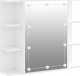 vidaXL Szafka z lustrem i oświetleniem LED, biała, 70x16,5x60 cm 1