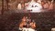 Trash Sailors Nintendo Switch 2