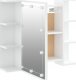vidaXL vidaXL Szafka z lustrem i LED, biała z połyskiem, 70x16,5x60 cm 9