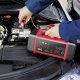 AEG Prostownik Automatyczny z Mikroprocesorem LT 10 12V/24V, 10A 1