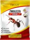 Focus Focus zwalcza mrówki saszetka 100g 1