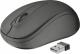Mysz Trust Compact (21509) 2
