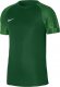 Nike Koszulka meczowa Jr Nike Warta Poznań Ekstraklasa 2022/23 1