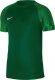 Nike Koszulka meczowa Jr Nike Warta Poznań Ekstraklasa 2022/23 1