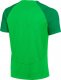 Nike Koszulka Nike Academy Pro DH9225 329 2