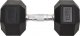 vidaXL vidaXL Hantle, 2 szt., 25 kg, żeliwne 2