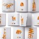 Pixio Klocki Pixio Orange Animals | Story Series | Pixio 6